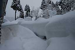 家の回りは、屋根の雪が落ちて凄いことになっています