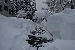 道路も雪の壁が出来て、狭くなってしまいました