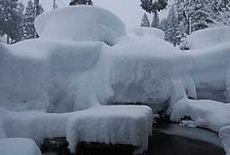 昨日掘った、魚の越冬用の屋根にもまた雪が積もりました