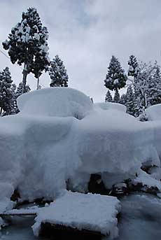 何とか大雪の峠を越えたようです。