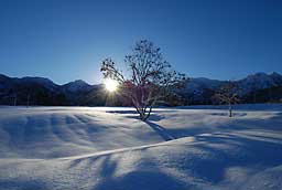 朝日に映し出された雪の表面の模様がきれいです