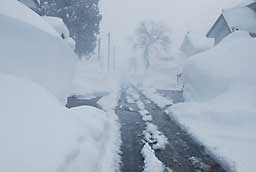 家の前の道も猛吹雪中