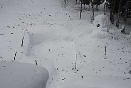 せっかくパイプハウス用に除雪したのですが…