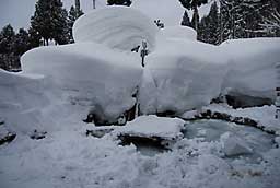 池の魚の屋根を除雪しました