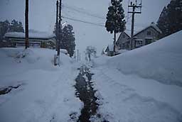 道路も狭くなってしまいました