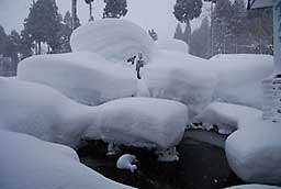 池のまわりの雪です