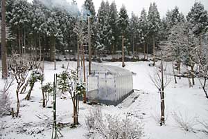 また、今日も雪です