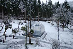 今朝もまた雪が積もっていました