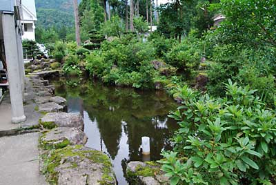 ２年ぶりの池掃除をします。