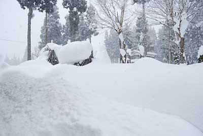 この時期としては、例年になく雪が多い感じです。