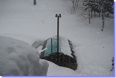 ハウスも雪に埋まっています。