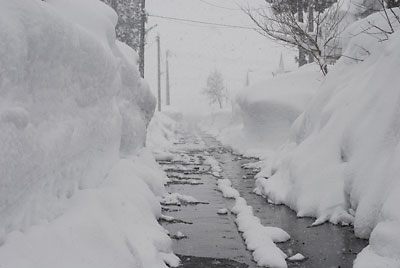 朝からまたすごい雪になってきました。