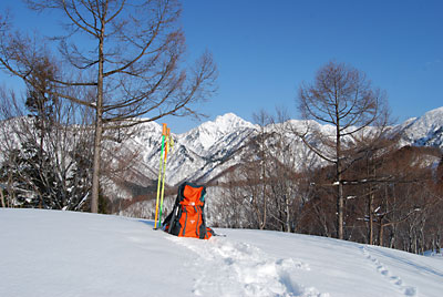 裏山の山頂です。