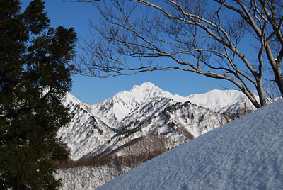 大源太山がすばらしい！！