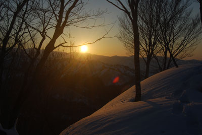 夕日です。