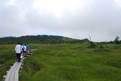 到着後、苗場山頂の散策に行って来ました。