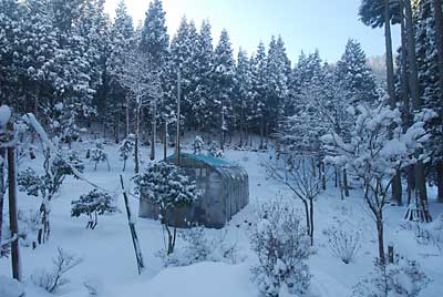 昨日は、ほんと雪がたくさん積もりました。