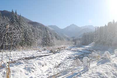 大源太川も真っ白です。