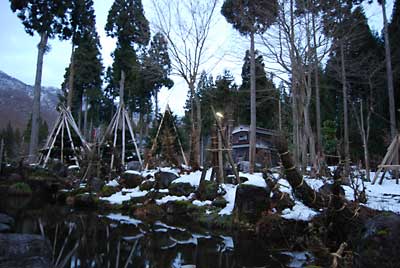 今日こそは終わるかと思った庭木の雪囲ですが終わりませんでした。（涙