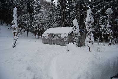 天気予報どおり、昨夜から６０ｃｍくらい雪が積もりました。