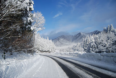 午前中は、雪が止んで雪景色がとってもきれいでした。