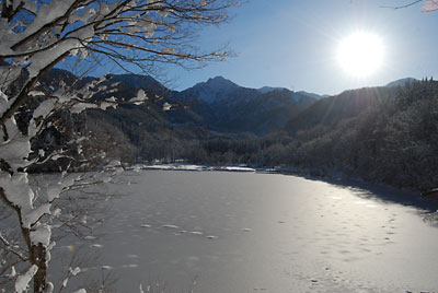 朝から晴れたので、今日も雪景色がきれいです。