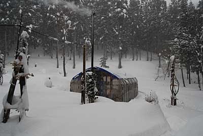 今日は、吹雪になりました。