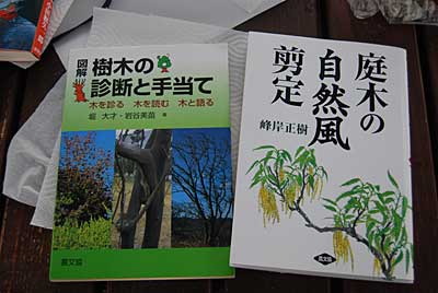 こんな日は、買いだめしておいた書籍を読むことにします。