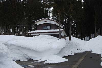 ご近所の一人暮らしのお宅に除雪ボランティアの方々が来て下さいました。