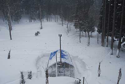 今日は、一日中吹雪でした。