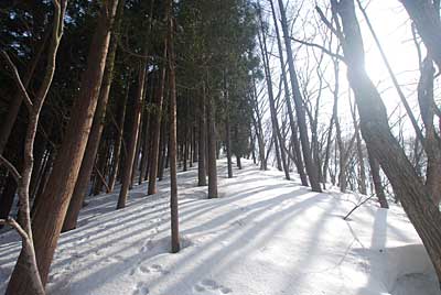 裏山の山頂から見える大源太山です。