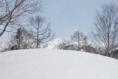 裏山の山頂から見える大源太山です。