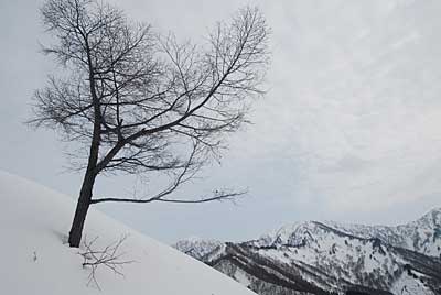 カラ松が風景に溶け込んできれいでした。