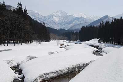 大源太川には、まだまだ雪がいっぱいです。