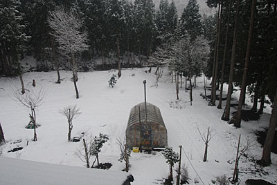 朝からまた雪が降り出しました。