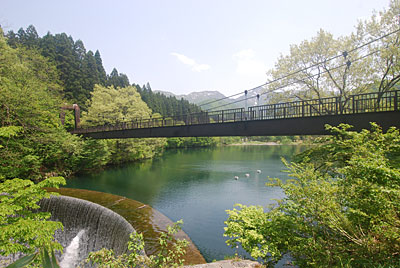  大源太湖の新緑もきれいになって来ました。