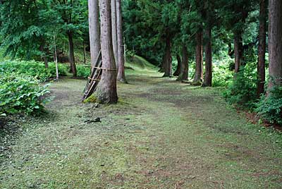 実際使ってみると、確かに使い勝手が良いし、普段の回転の８～９割くらい 抑えて使えました。