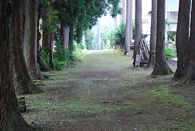 お盆が近いので、自宅周りの草刈りをしました。