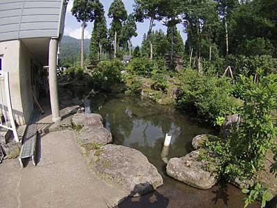 約２時間ほどかかって池の水が満水になりました。