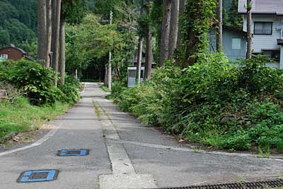 今年も誰も手を出さないので、道路の草刈りをしました。