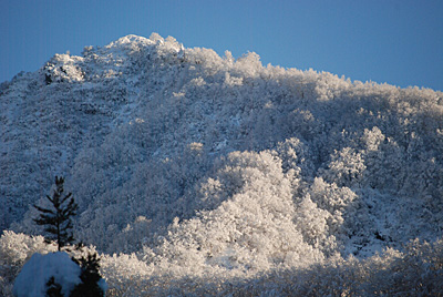 雪山に朝陽が射してとってもれいです。