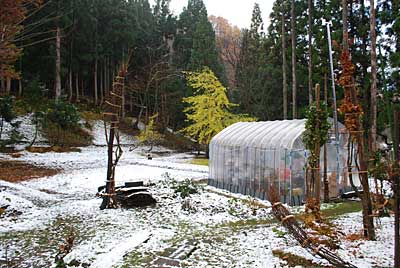 昨夜から今朝にかけて、うっすら雪が降りました。