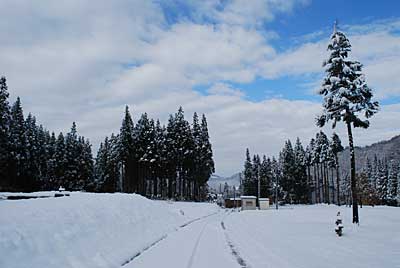 お天気が良くなってきて、雪景色がきれいです。