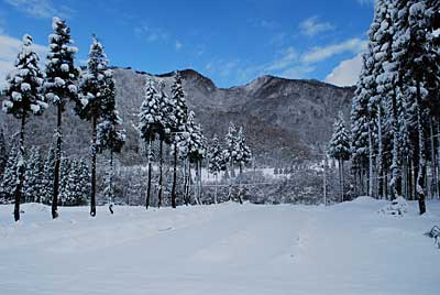 農園の畑も雪で真っ白です。