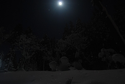 今夜は、月夜がメッチャきれいです。