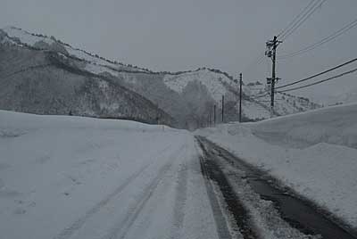 今日は、また真冬に戻ったようなお天気になりました。