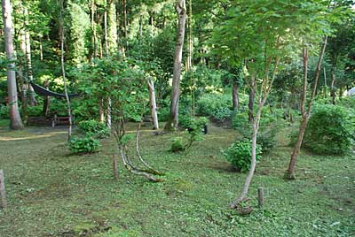 午後から自宅の庭の草刈りをしました。