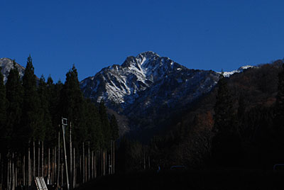 今日も昨日に引き続き、絶好の雪囲い日和になりました。