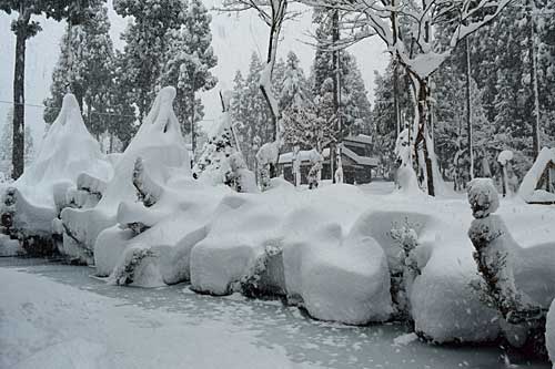 根雪になるかも？