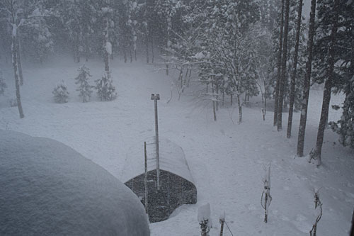 ハウスの雪